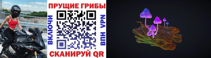 Псилоцибиновые грибы мухоморы  Купить закладки  Киров 